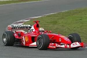 Images Dated 25th November 2003: Formula One Testing: Luciano Burti Ferrari