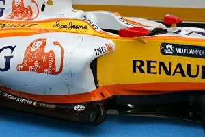 Images Dated 19th January 2009: Formula One Testing: Renault R29 sidepod detail