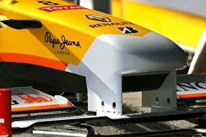 Formula One Testing: Front wing detail of the Renault R29