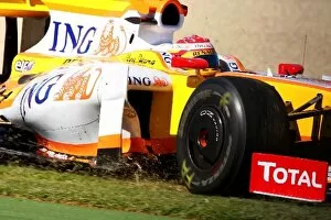 Formula One World Championship: Fernando Alonso Renault R29