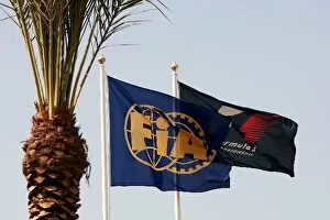 Images Dated 29th October 2009: Formula One World Championship: FIA and F1 flags