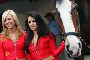 Images Dated 22nd June 2006: Formula One World Championship: A horse in the paddock