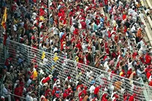 Images Dated 25th July 2004: Formula One World Championship: Huge crowds watch the race