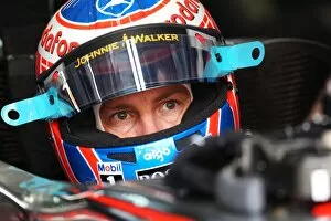 Best Images Collection: Formula One World Championship: Jenson Button McLaren MP4 / 25
