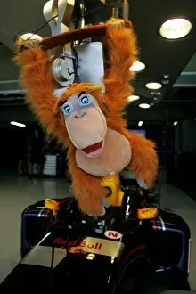 Images Dated 22nd September 2005: Formula One World Championship: King Louie in the Red Bull Racing garage