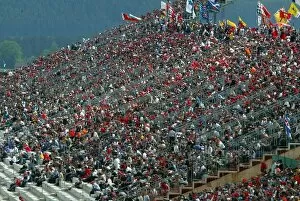Images Dated 18th May 2003: Formula One World Championship: A large crowd watched possibly the final race in Austria for a while