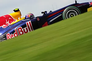 Formula One World Championship: Mark Webber Red Bull Racing RB6