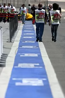 Images Dated 23rd April 2009: Formula One World Championship: Pitlane scrutineers