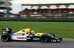 Silverstone Gallery: Formula One World Championship: Race winner Nigel Mansell Williams Renault FW14B