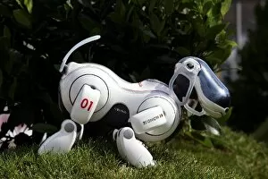 Images Dated 8th September 2005: Formula One World Championship: The Red Bull Racing Sony Aibo robot dog