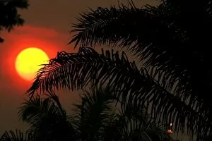 Formula One World Championship: The sun sets over Sepang