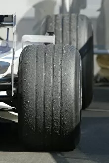 Images Dated 14th September 2003: Formula One World Championship: Very worn tyres on the Williams