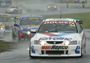 Images Dated 10th November 2003: HOLDEN V8 SUPERCAR DRIVER GARTH TANDER 3RD IN RACE 1 IN NEW ZEALAND TODAY