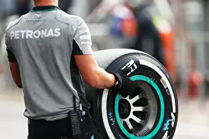 Images Dated 22nd August 2014: Portrait Technical Tyres f1 formula 1 formula one