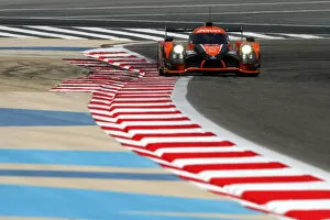Images Dated 20th November 2015: WEC-Bahrain-Friday-041