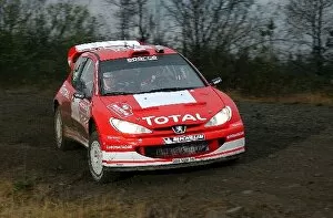 Images Dated 6th November 2003: World Rally Championship: Freddy Loix with co-driver Sven Smeets Peugeot 206 WRC