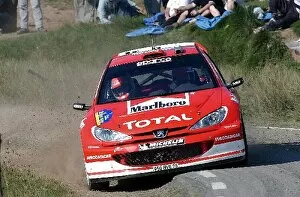 2003 WRC Gallery: World Rally Championship: Richard Burns with co-driver Robert Reid Peugeot 206 WRC rides
